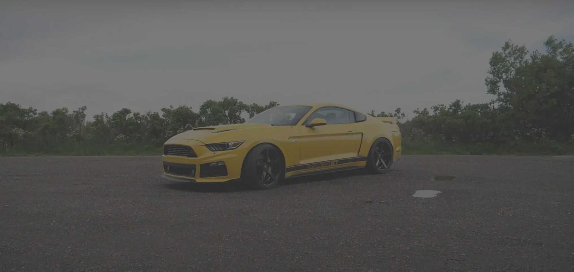 Cover Ford Mustang rigtig
